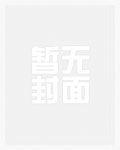 无限之山寨盗版